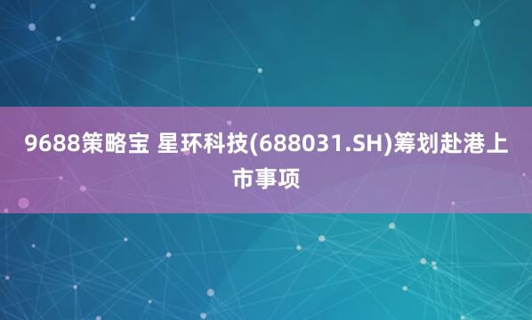 9688策略宝 星环科技(688031.SH)筹划赴港上市事项