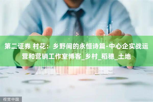 第二证券 村花：乡野间的永恒诗篇-中心企实战运营和营销工作室博客_乡村_稻穗_土地
