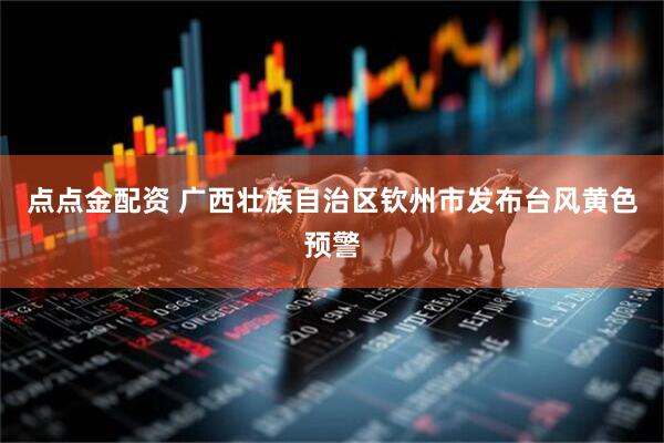 点点金配资 广西壮族自治区钦州市发布台风黄色预警